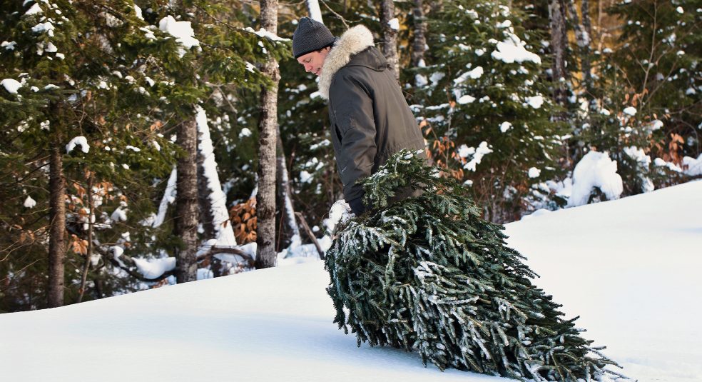 Sami podrite božično drevesce: očarljiv okras v prazničnih dneh