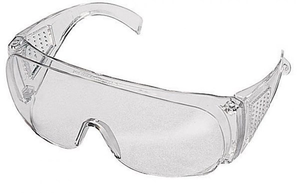 Slika Zaščitna očala FUNCTION Standard, prozorna